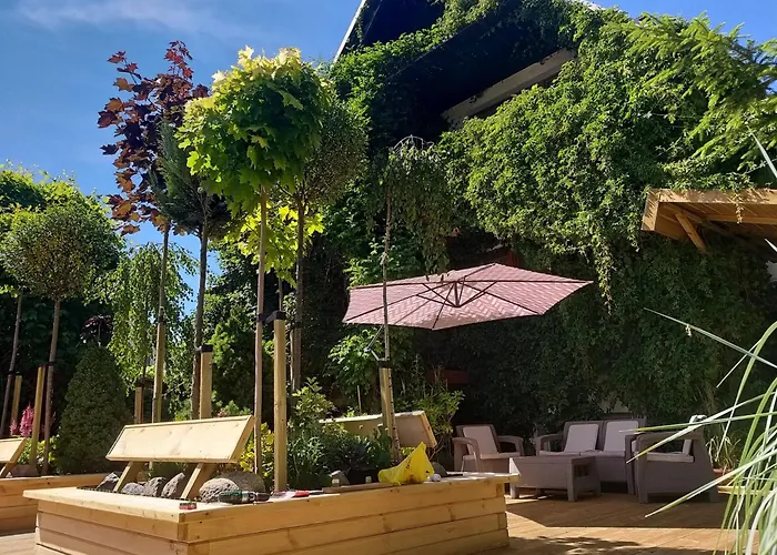 Olivia Apartman Sianozety